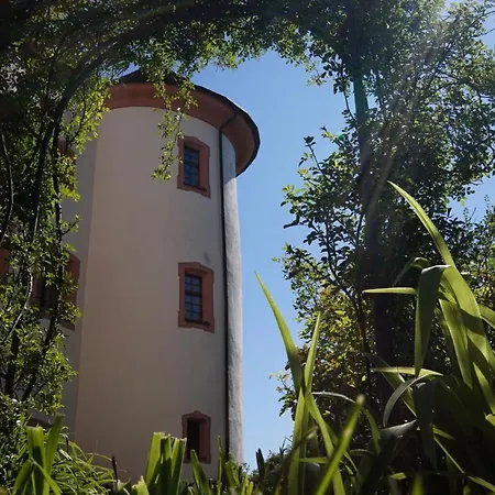 & Tagungszentrum Schloss Hohenfels ホテル Hohenfels (Baden-Wurttemberg)