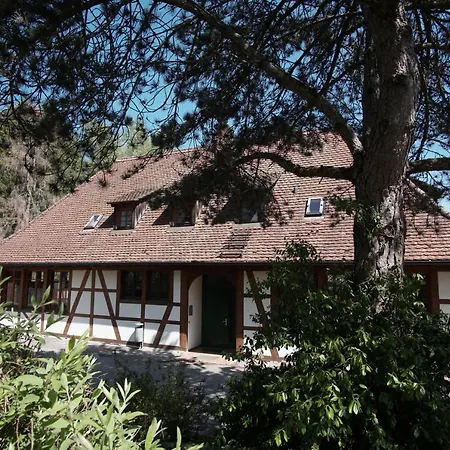 & Tagungszentrum Schloss Hohenfels Hotel